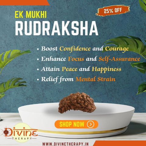 1 Mukhi / EkaMukhi Rudraksha - DT-RD01