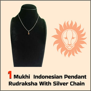 1 Mukhi Indonesian Pendant Rudraksha With Silver Chain