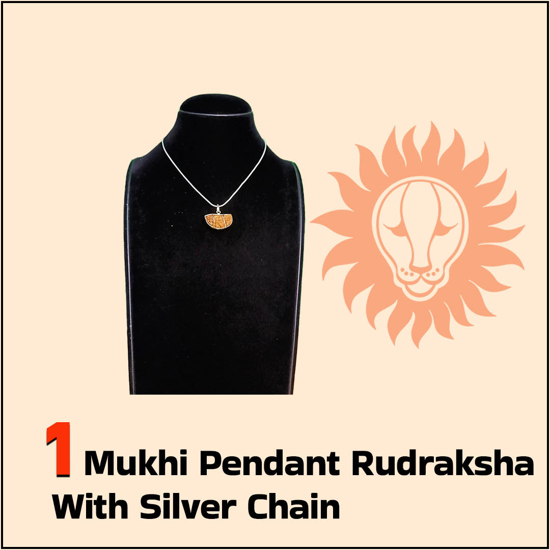 1 Mukhi Pendant Rudraksha with Silver Chain