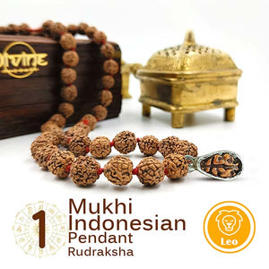 1 Mukhi Indonesian Rudraksha pendant With Rudraksha wearing Mala