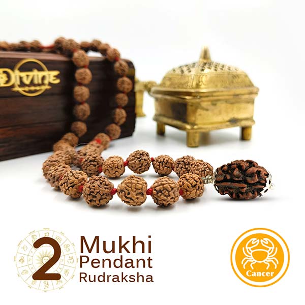 2 Mukhi Pendant Rudraksha Mala 