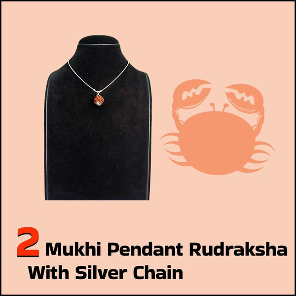 2 Mukhi Pendant Rudraksha with Silver Chain