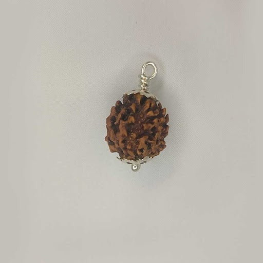 Two Mukhi Rudraksha Pendant With White Metal.