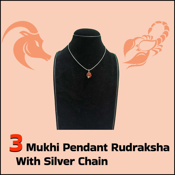 3 Mukhi Pendant Rudraksha with Silver Chain