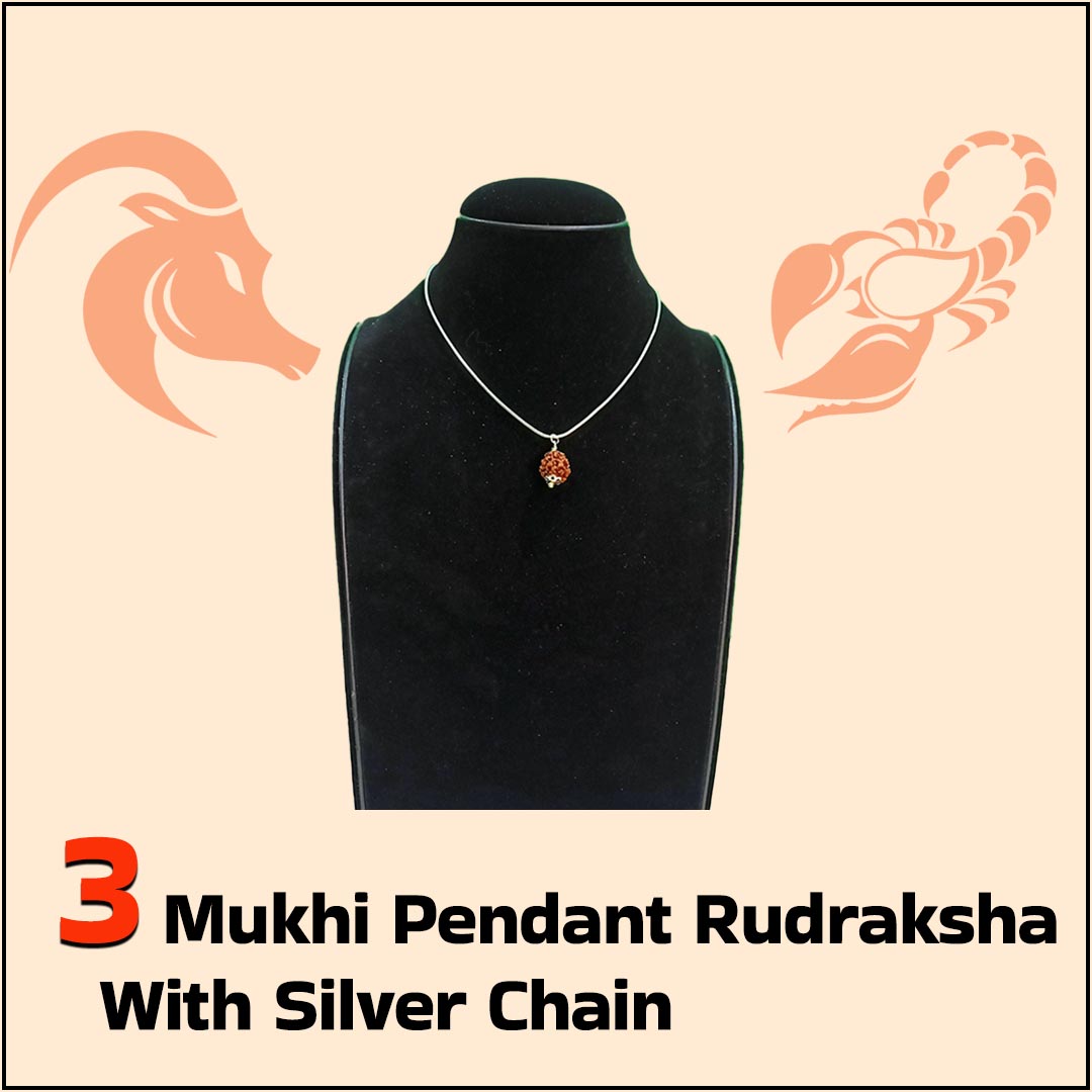 3 Mukhi Pendant Rudraksha with Silver Chain