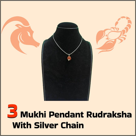 3 Mukhi Pendant Rudraksha with Silver Chain