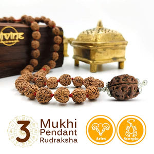  3 Mukhi Pendant Rudraksha Mala 