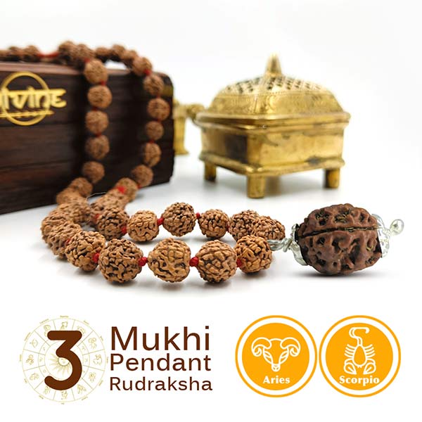  3 Mukhi Pendant Rudraksha Mala 