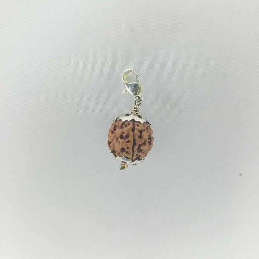 Three Mukhi Rudraksha Pendant With White Metal.