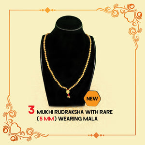 3 Mukhi Rudraksha With Rare (5MM) Wearing Mala