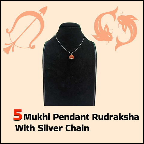 Products 5 Mukhi Pendant Rudraksha with Silver Chain