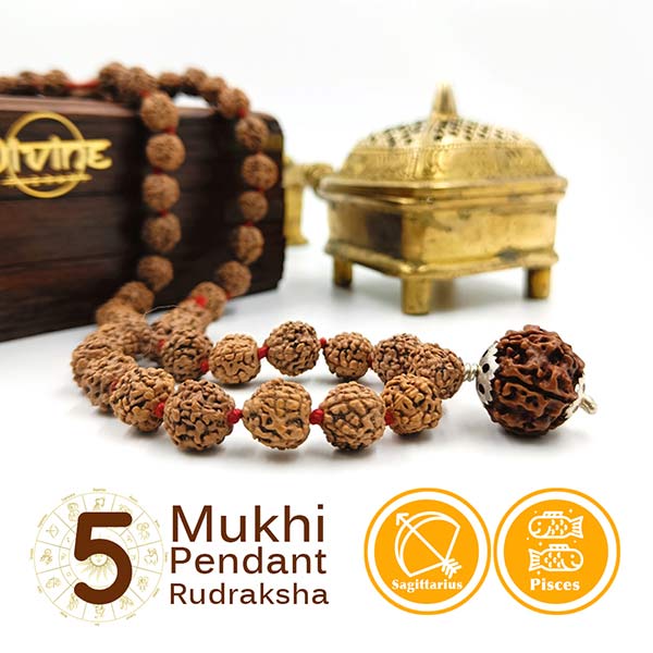 5 Mukhi Pendant Rudraksha Mala 