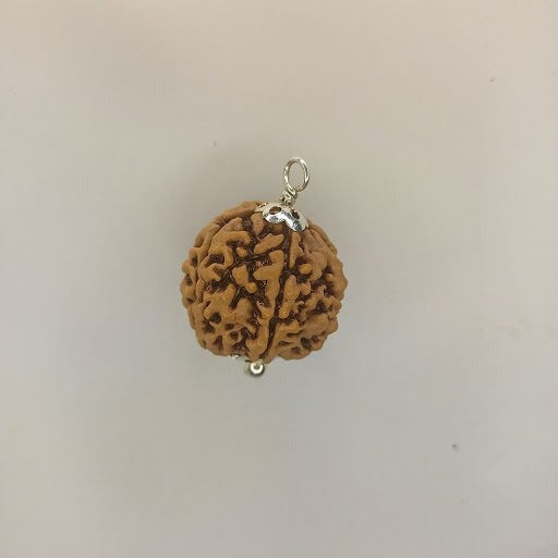  5 Mukhi Big Pendant Rudraksha with White Metal