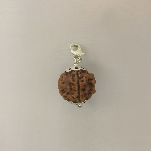 Five Mukhi Rudraksha Pendant With White Metal.