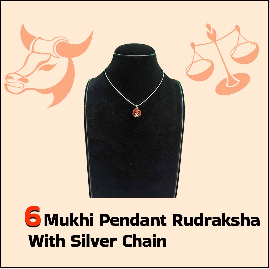 6 Mukhi Pendant Rudraksha with Silver Chain