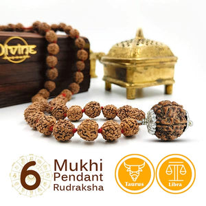 6 Mukhi Pendant Rudraksha Mala