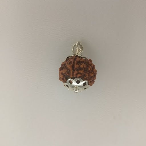 Six Mukhi Rudraksha Pendant With White Metal.