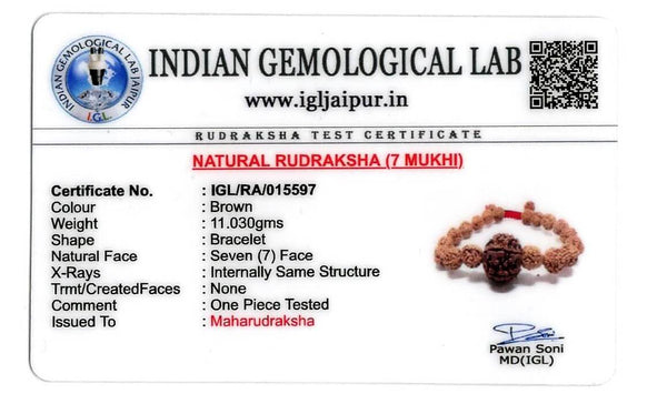 7 Mukhi Nepali Rudraksha Bracelets