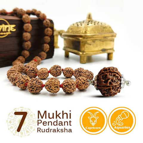 7 Mukhi Pendant Rudraksha Mala 