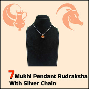 7 Mukhi Pendant Rudraksha with Silver Chain