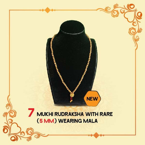 Products 7 Mukhi Rudraksha With Rare (5MM) Wearing Mala