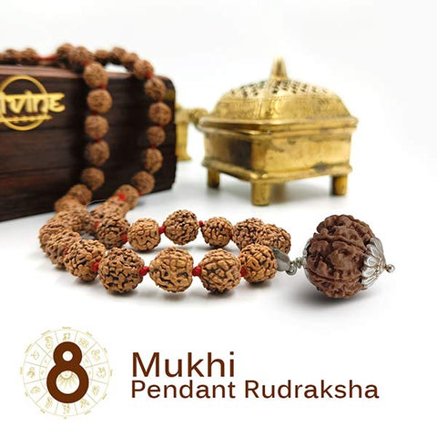 8 Mukhi Pendant Rudraksha Mala 