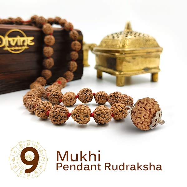 9 Mukhi Pendant Rudraksha Mala