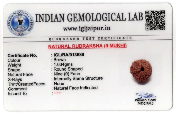 Natural Rudraksha ( 9 Mukhi)