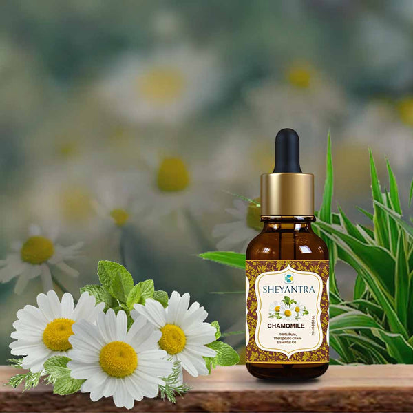 Chamomile Essential Oil