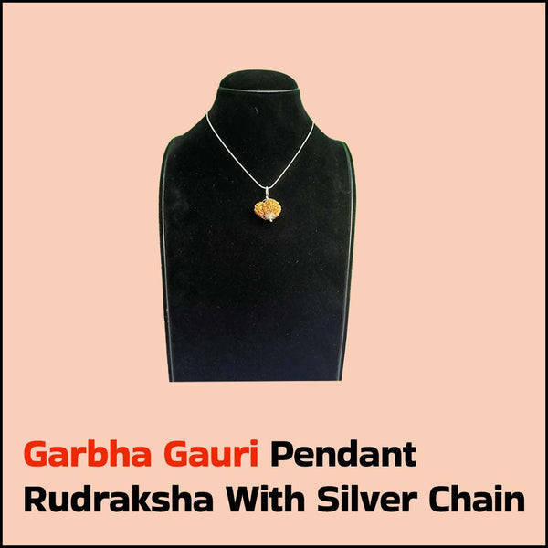  Garbha Gouri Pendant Rudraksha with Silver Chain