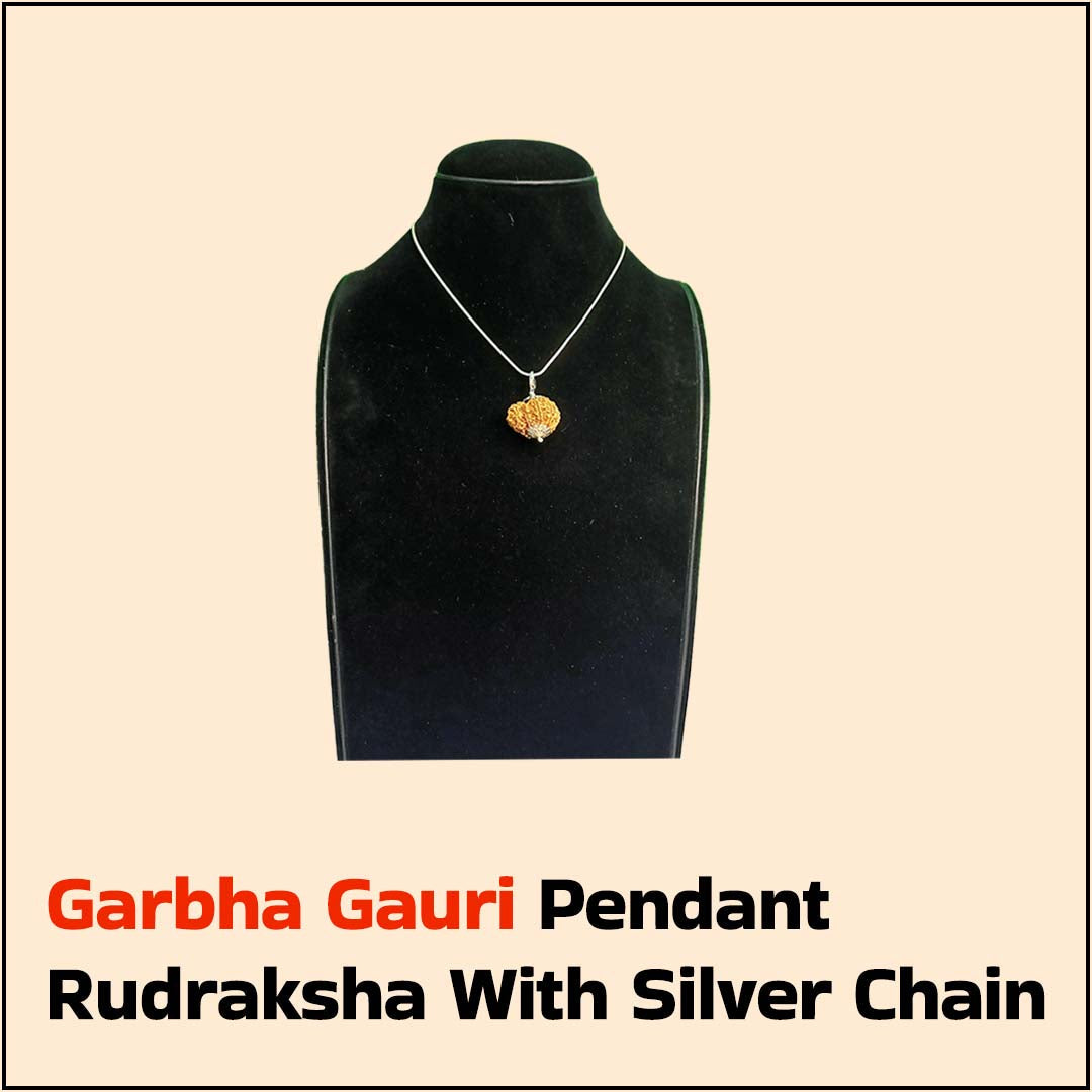  Garbha Gouri Pendant Rudraksha with Silver Chain