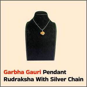  Garbha Gouri Pendant Rudraksha with Silver Chain