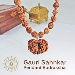  Gauri Shankar Pendant Rudraksha Mala