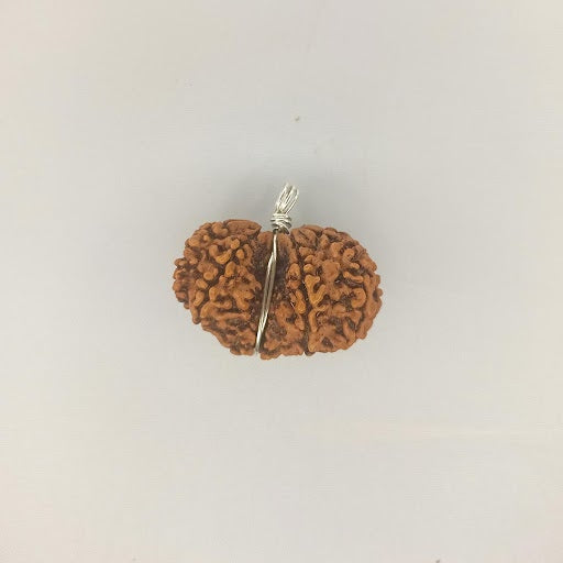  Gauri Shankar Pendant Rudraksha White Metal